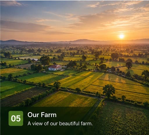 Our Farm